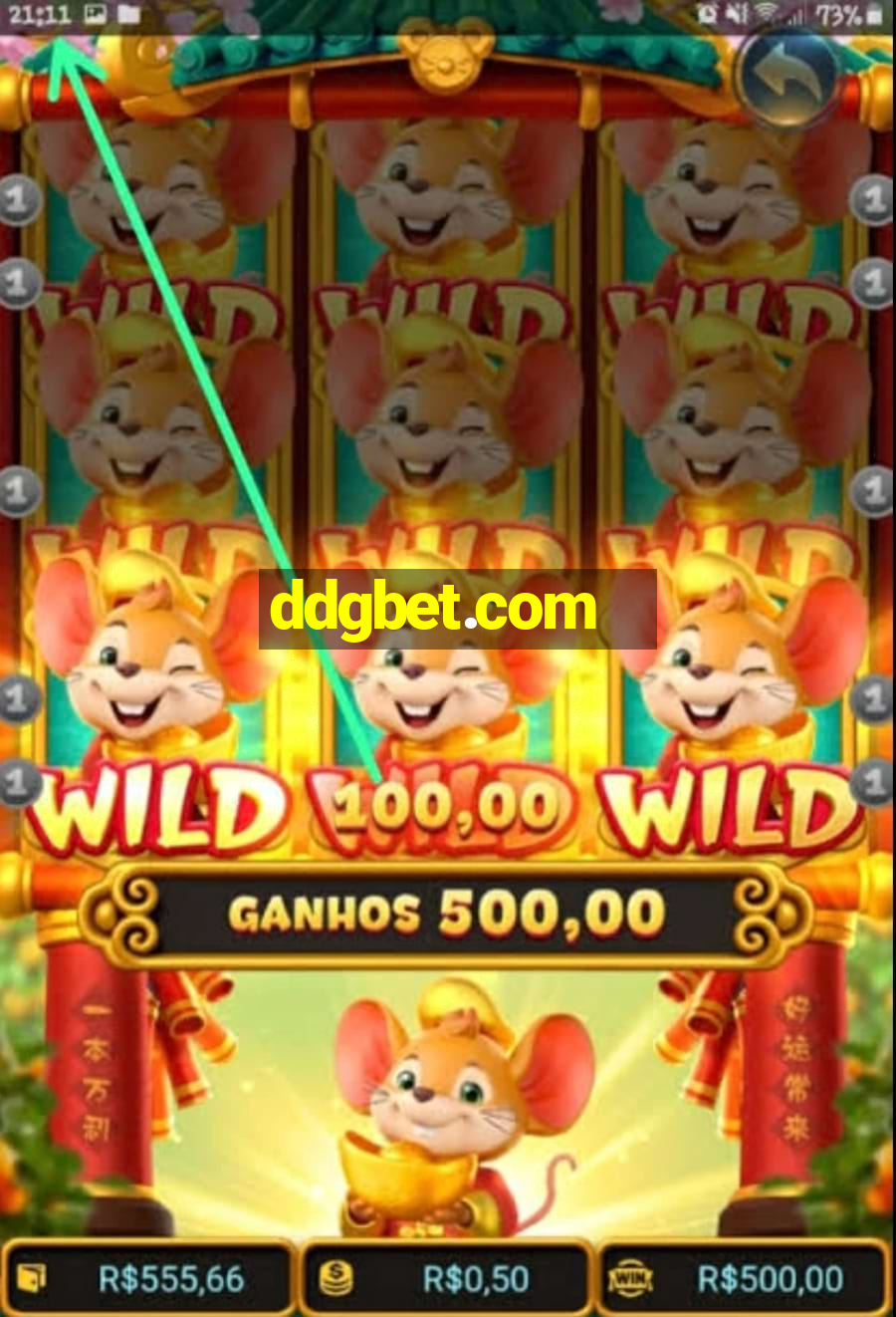 ddgbet.com