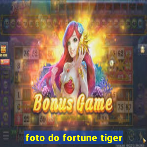 foto do fortune tiger