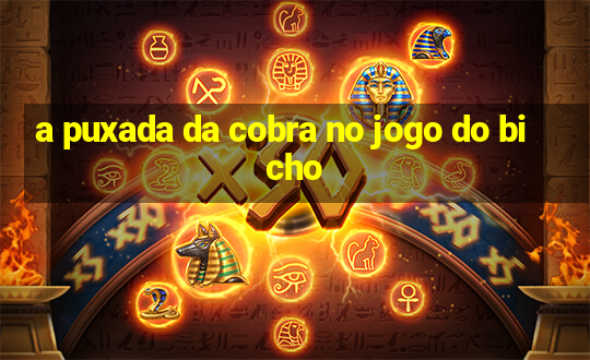 a puxada da cobra no jogo do bicho