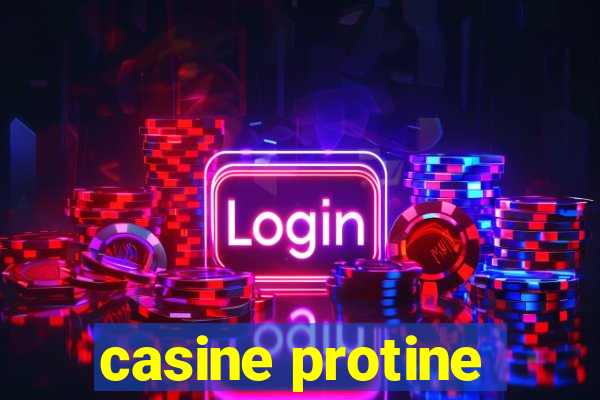 casine protine