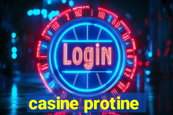 casine protine