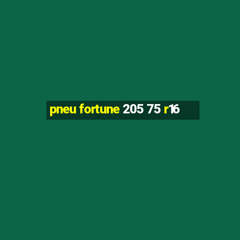 pneu fortune 205 75 r16