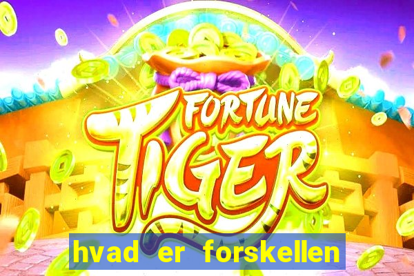 hvad er forskellen p? bingo og banko