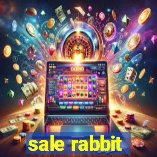 sale rabbit