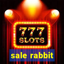 sale rabbit