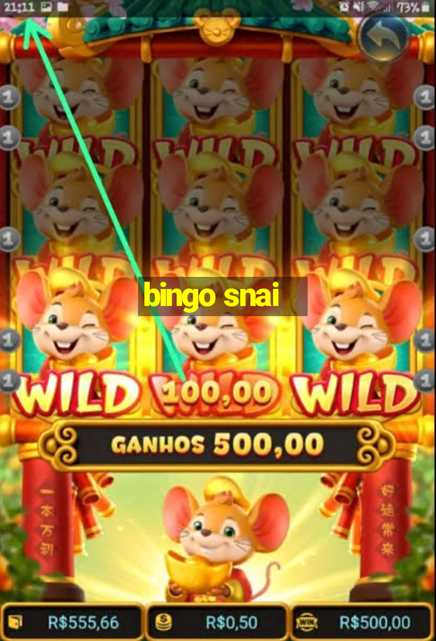 bingo snai