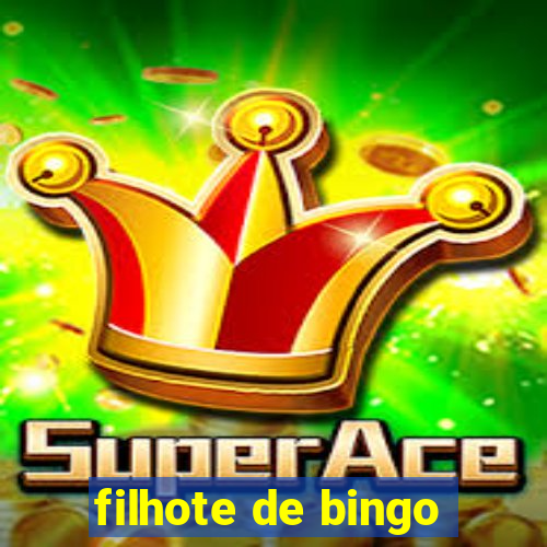 filhote de bingo