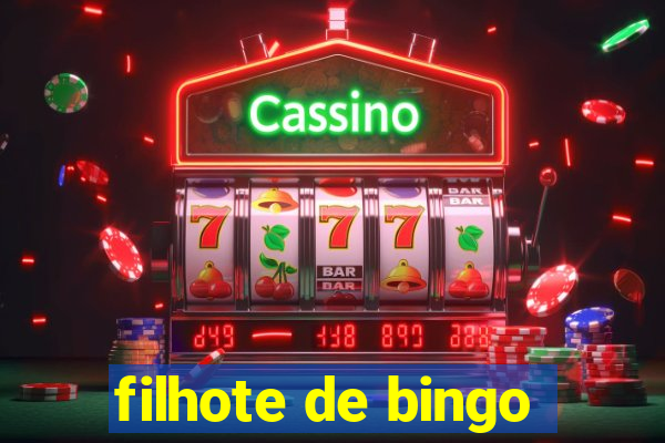 filhote de bingo