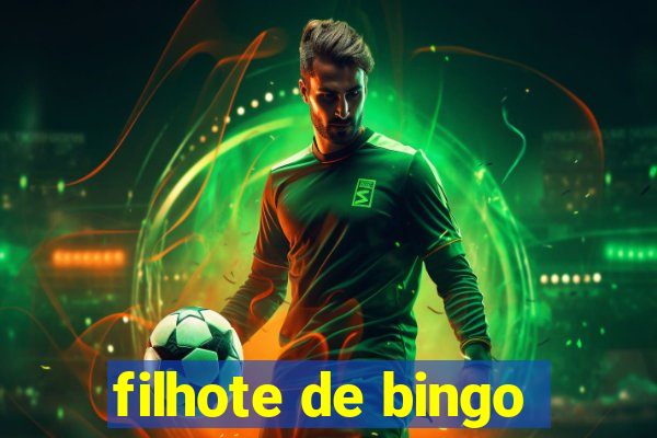 filhote de bingo