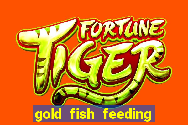 gold fish feeding time slot machine