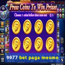 9977 bet paga mesmo