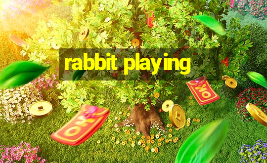 rabbit playing