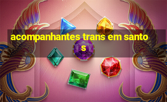 acompanhantes trans em santos