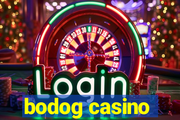 bodog casino