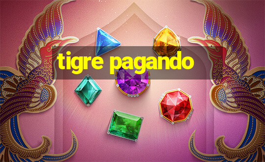 tigre pagando