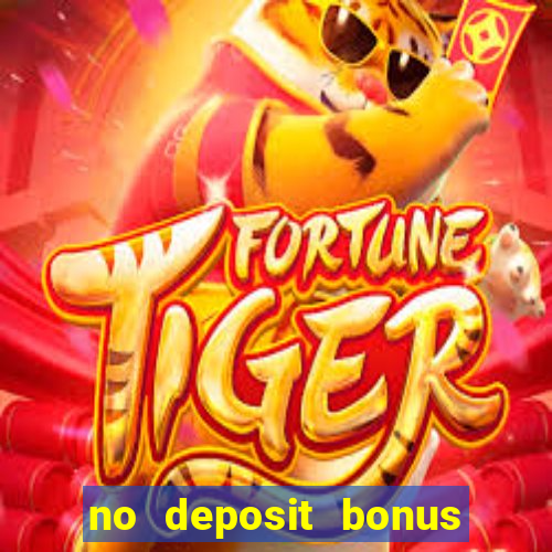 no deposit bonus bingo casino