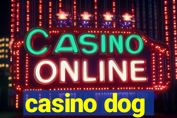 casino dog