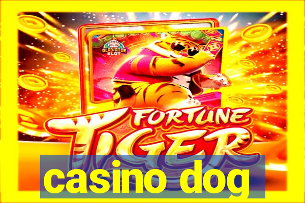 casino dog