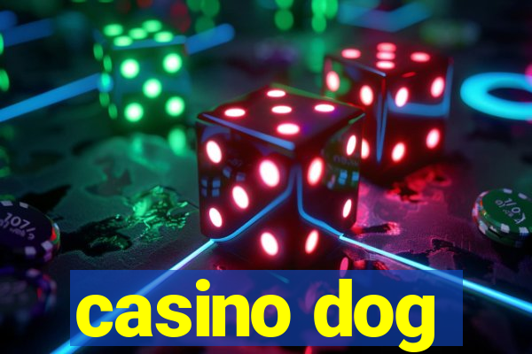 casino dog