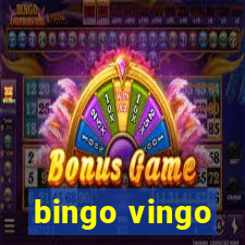 bingo vingo