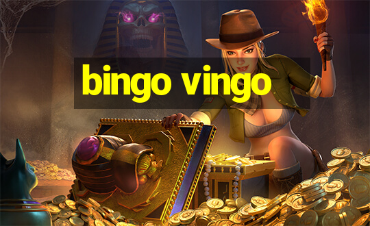 bingo vingo