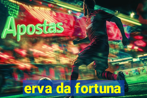 erva da fortuna