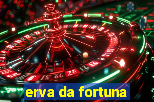 erva da fortuna