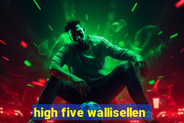 high five wallisellen