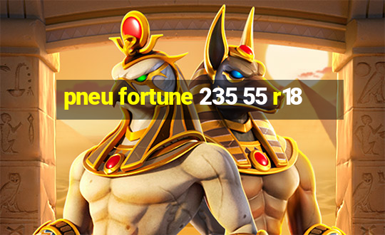 pneu fortune 235 55 r18