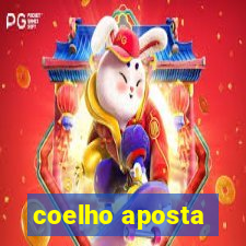 coelho aposta