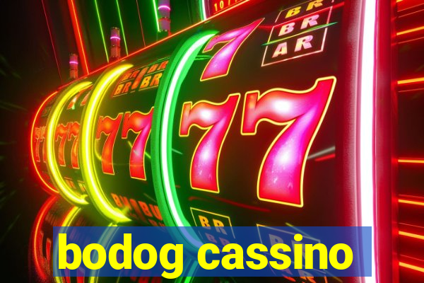 bodog cassino