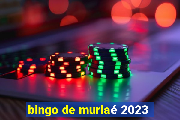 bingo de muriaé 2023