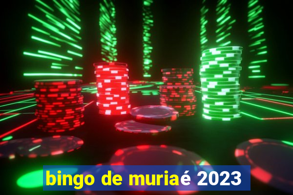 bingo de muriaé 2023