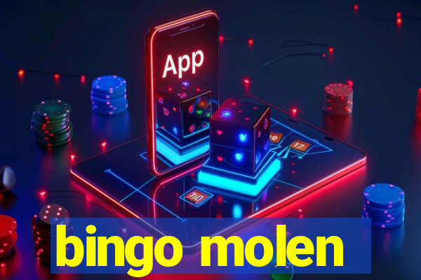 bingo molen