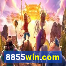 8855win.com