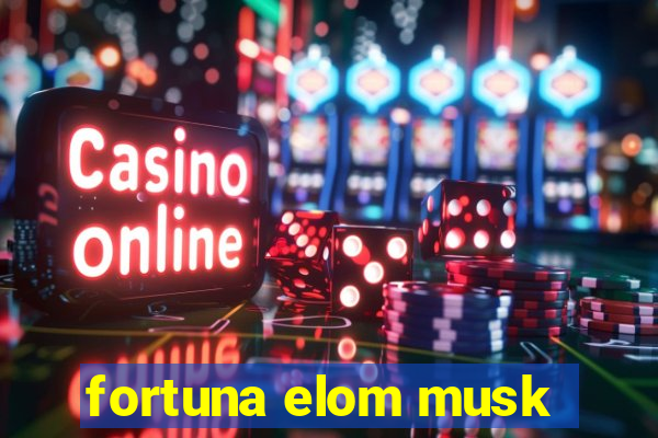 fortuna elom musk