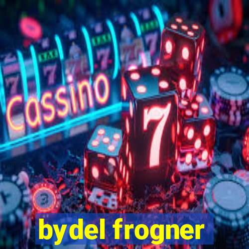 bydel frogner