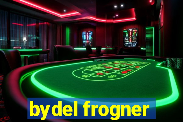 bydel frogner