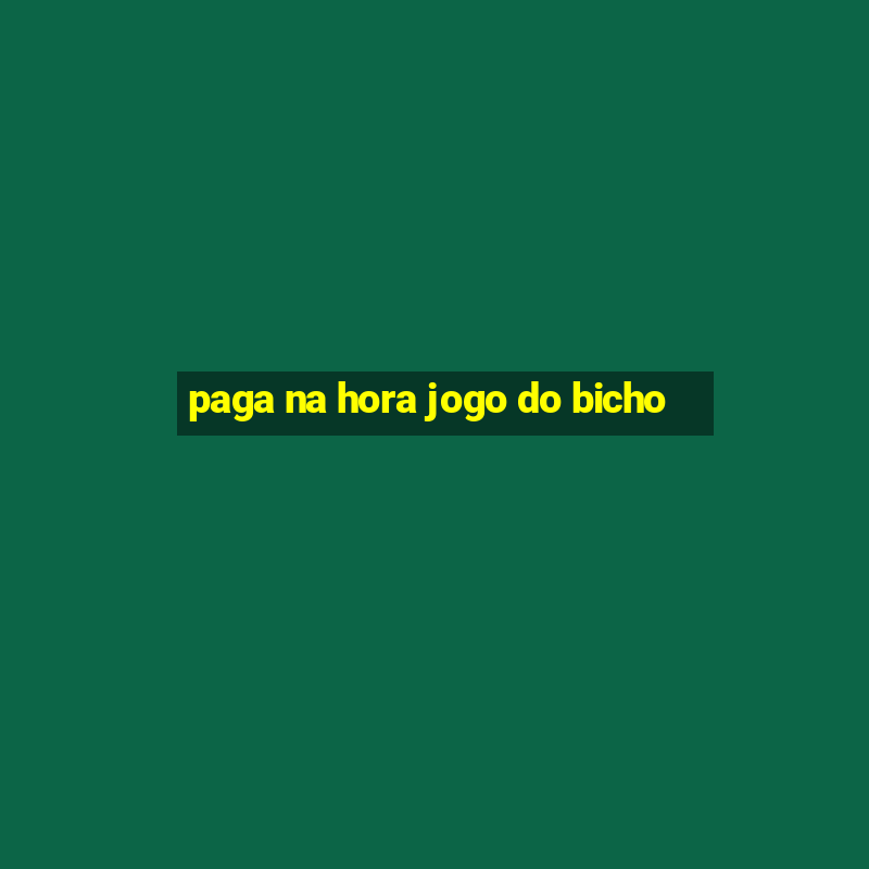 paga na hora jogo do bicho