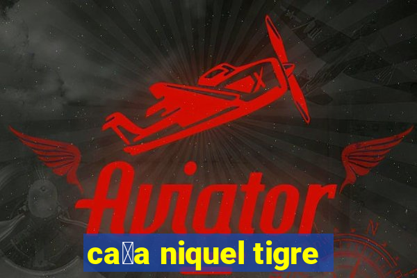 ca莽a niquel tigre