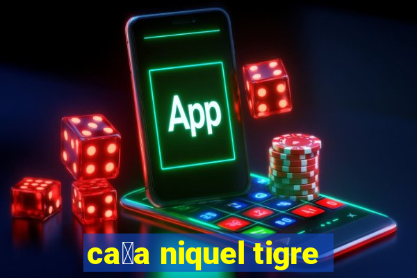 ca莽a niquel tigre