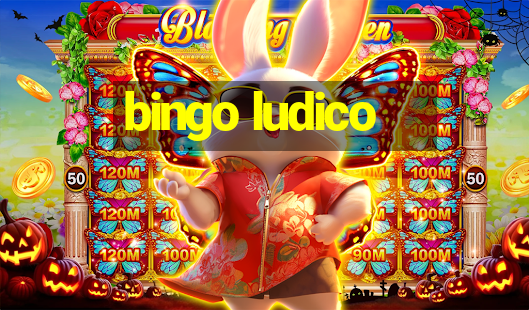 bingo ludico