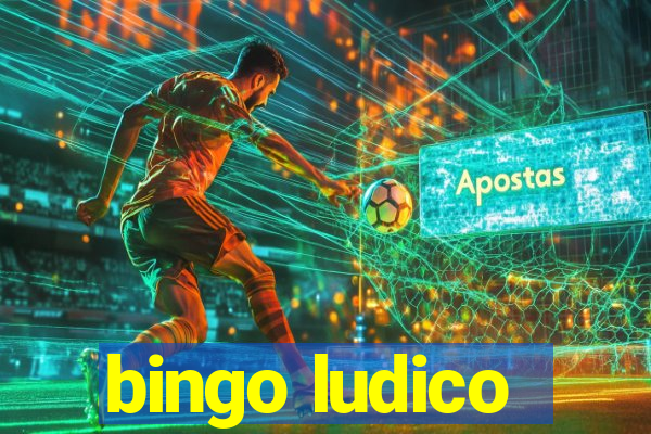 bingo ludico