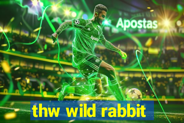 thw wild rabbit