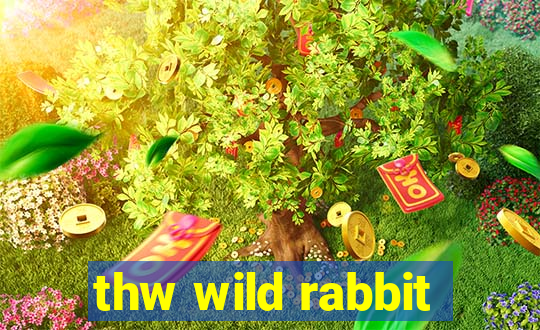 thw wild rabbit