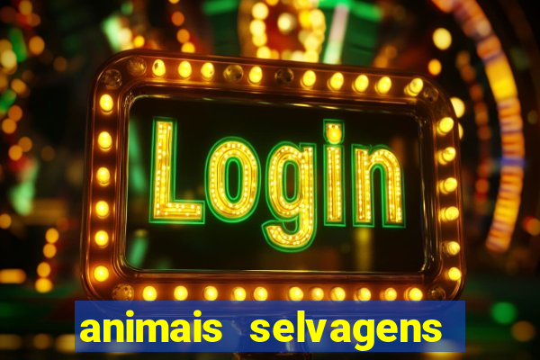 animais selvagens fotos e nomes