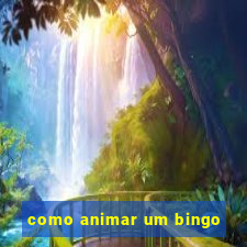 como animar um bingo