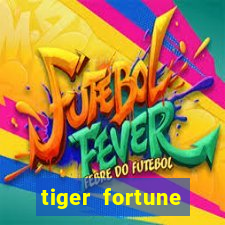 tiger fortune melhores horarios