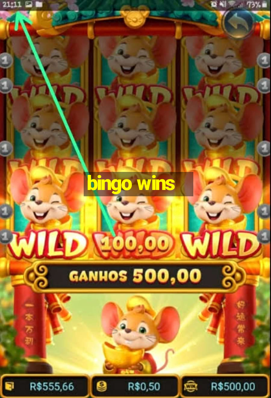 bingo wins