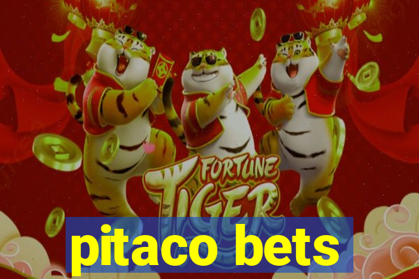 pitaco bets